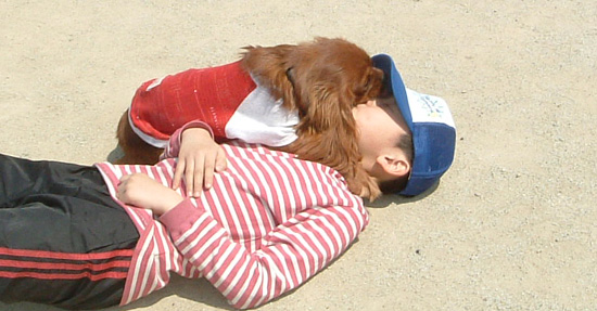 町田ドッグパーク