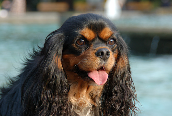 日比谷公園など