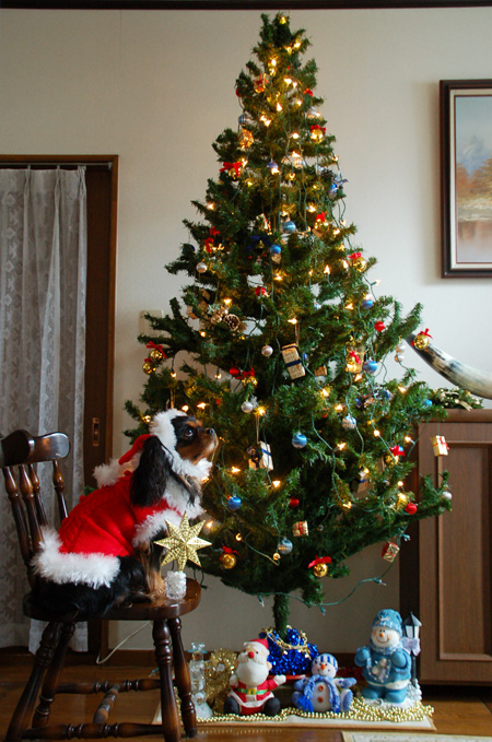 クリスマスのセーター