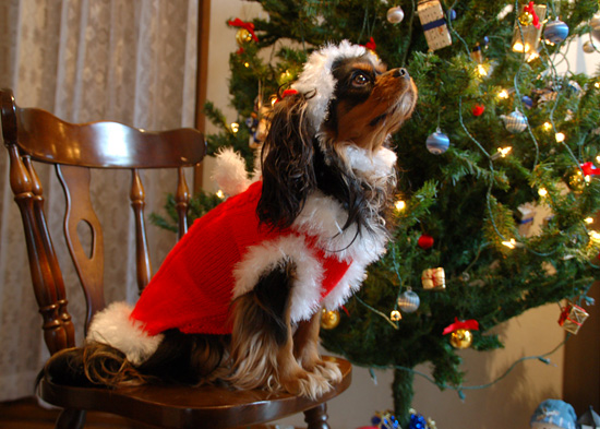 クリスマスのセーター