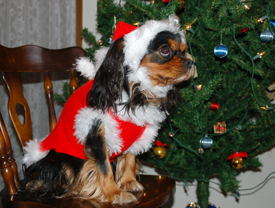 クリスマスのセーター