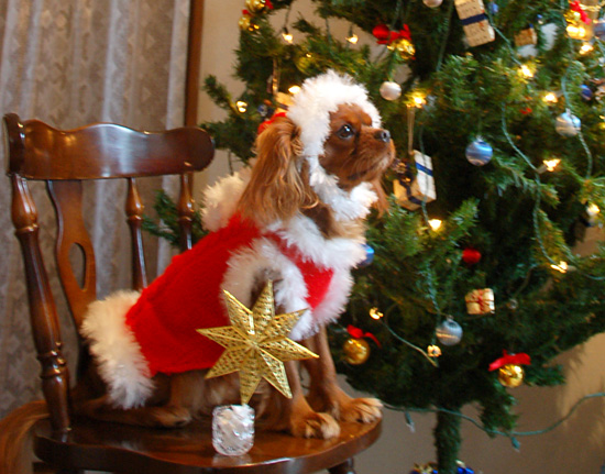 クリスマスのセーター