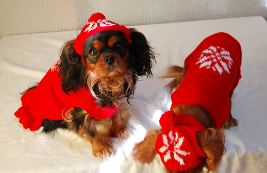 手編みのセーター