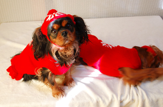 手編みのセーター