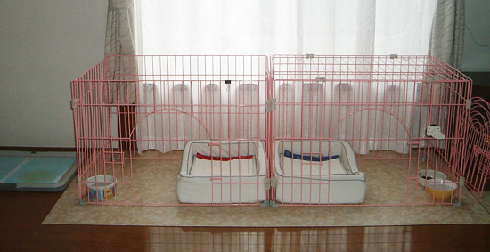 コナセナハウス