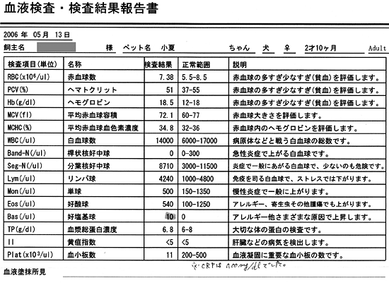 血液検査結果