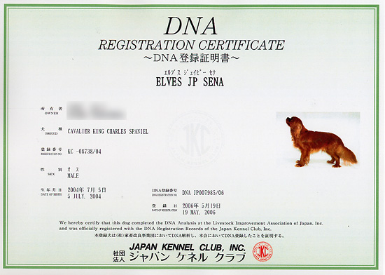 DNA登録証明書