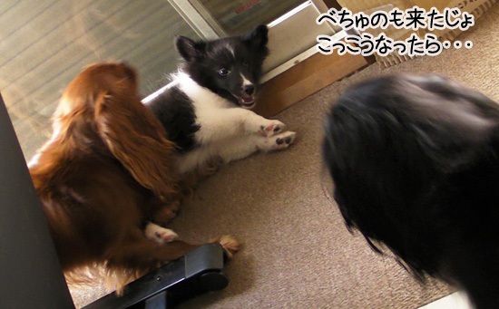 姉 兄の教育 動画 Goodgirl Blog