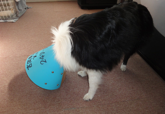 何してるかって