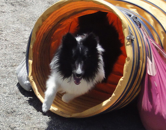 フィールドにて