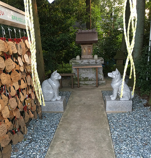 AG2／OP／JP2／JP3