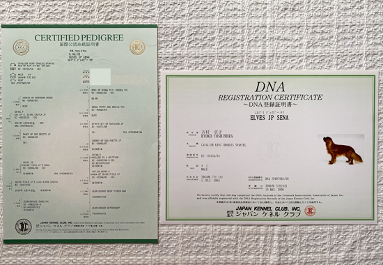 DNA登録