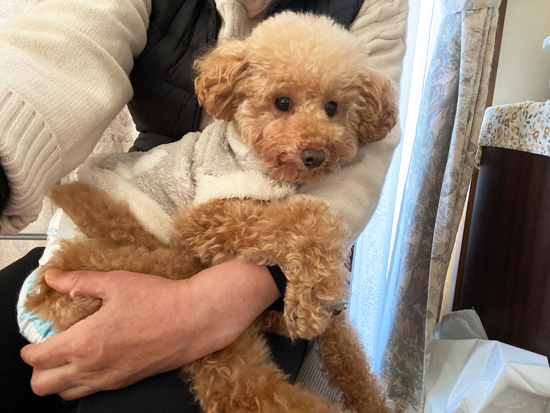 トライアル７日目