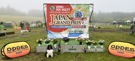 OPDESジャパングランプリ