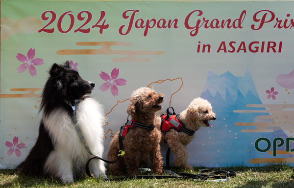 2024 Japan Grand Prix in 静岡 朝霧自然公園