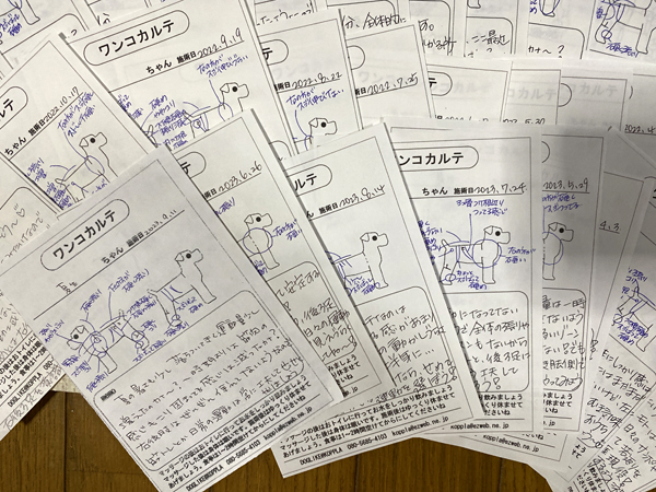 ドッグマッサージ