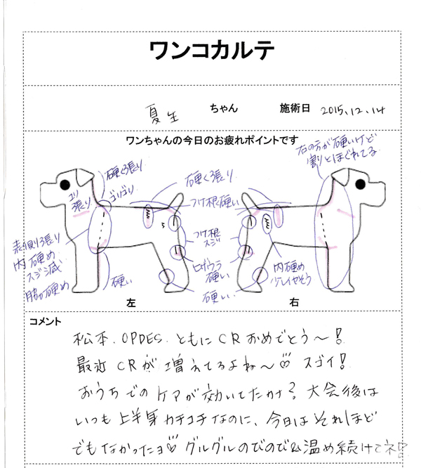 ドッグマッサージ